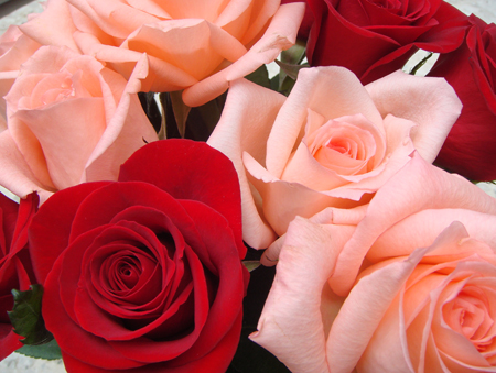 mothers-day-roses052