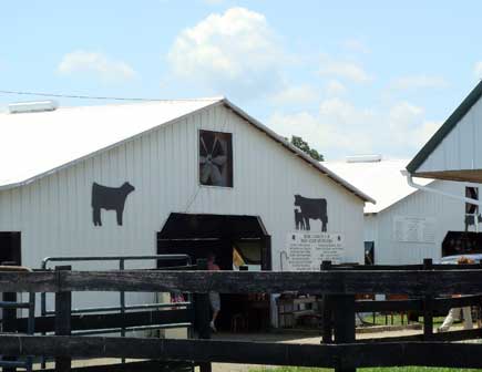 antiquing-in-the-barn-june_ The antique show was in the 4-H barns