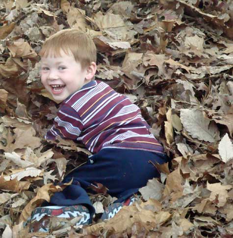 A successful landing!