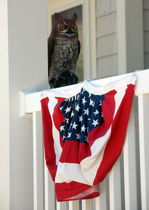 4th-of-july-2010_7jpg