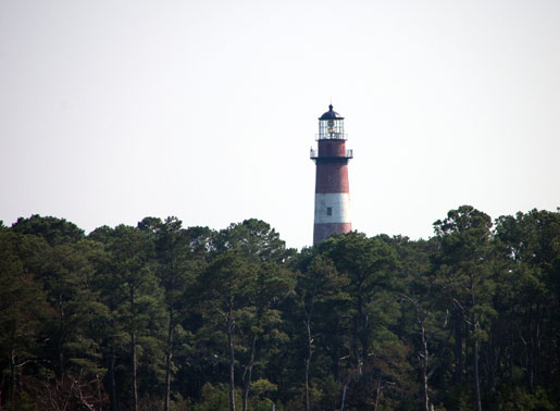 chincoteague_4jpg