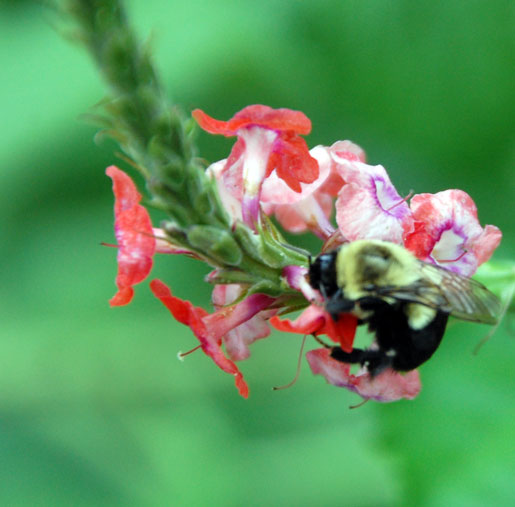 gabriels-10th-birthday9-04
