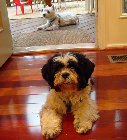 hodgies-15th-birthday3