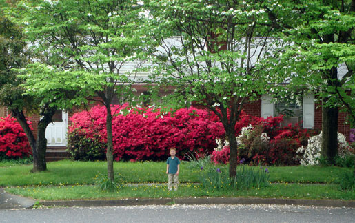 lawrences-house_15our-new