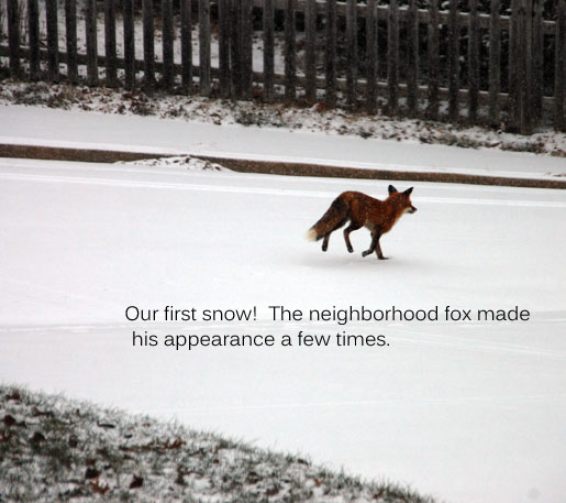 christmas-traditions13-2010