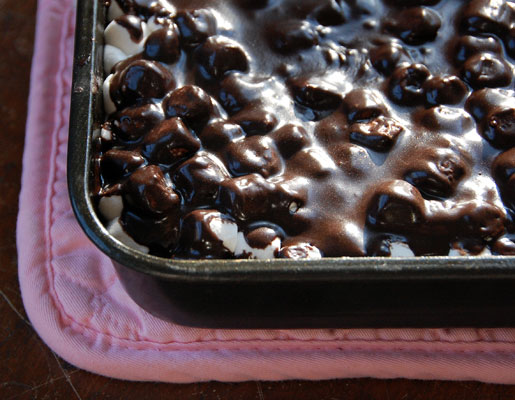 mississippi-mud-cake