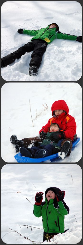 snowday-2011-collage