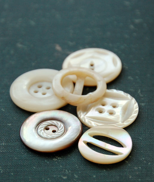 dc-big-flea-with-lori_mop-b