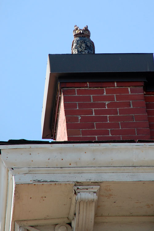 fredericksburgrooftops_9