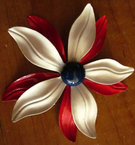 americana_enamelbrooch