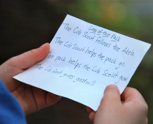boy-scouts_law-of-the-pack