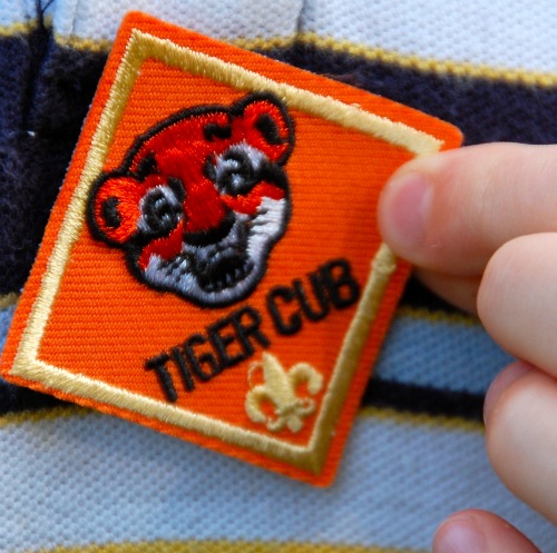boy-scouts_tigers