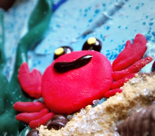 cub-scouts_little-crab