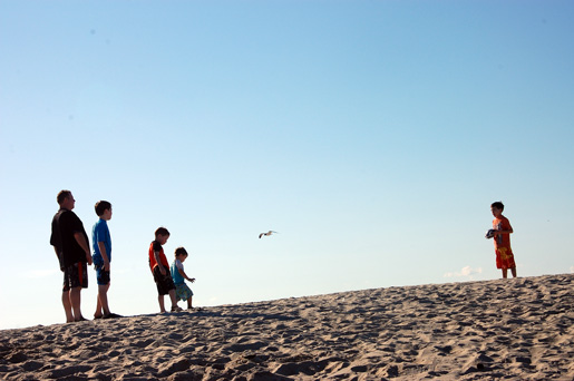 assateague_playing-catch