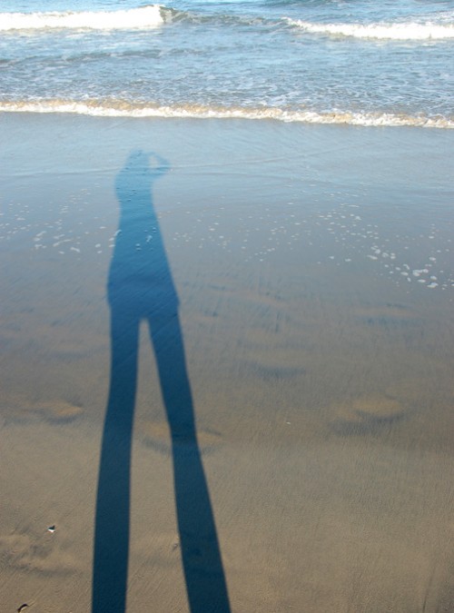 assateague_shadow