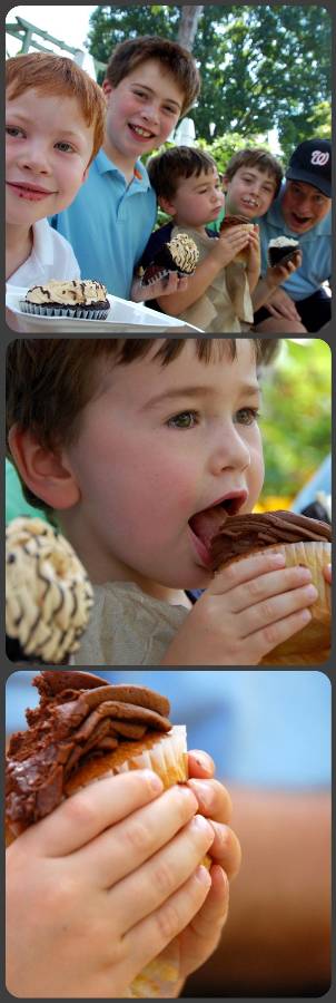 optimized-newengland_cupcakecollage