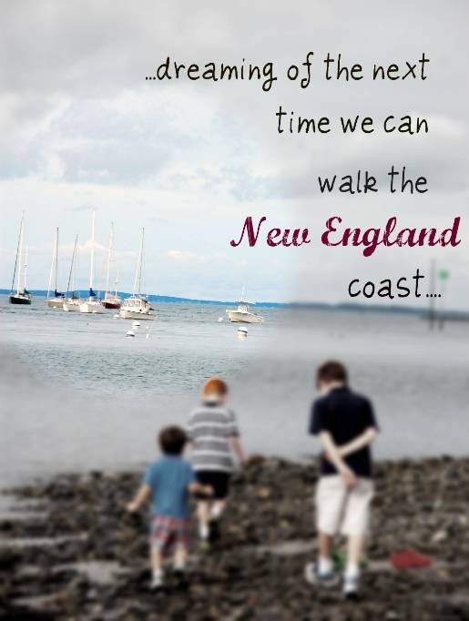 optimized-newengland_newengland-coast
