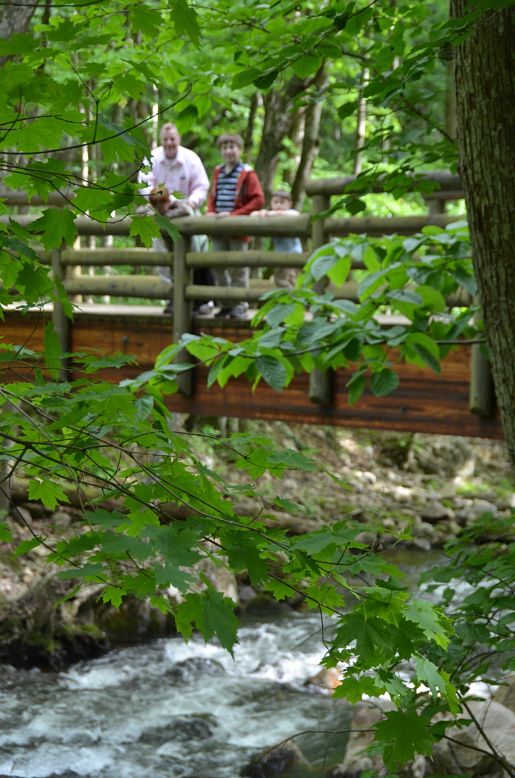 Cascades Trail, VA