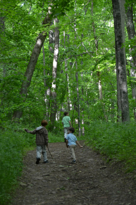 Cascades Trail