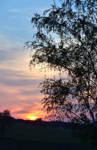 Oregon Dairy Sunset