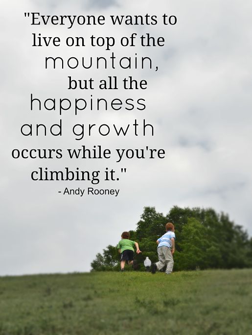 Happiness quote by Andy Rooney
