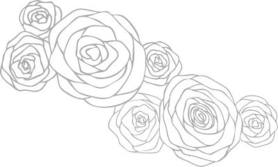 Roses for cindywimmer.com