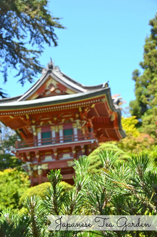 Japanese Tea Garden, San Francisco