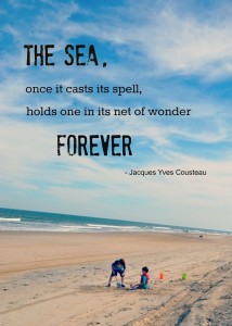 Quote by Jacques Yves Cousteau