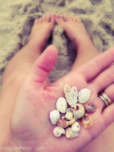 Tiny shells