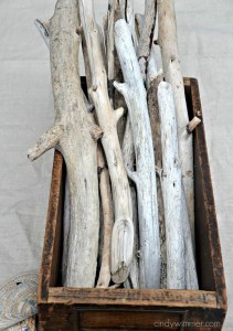 Summer driftwood collection