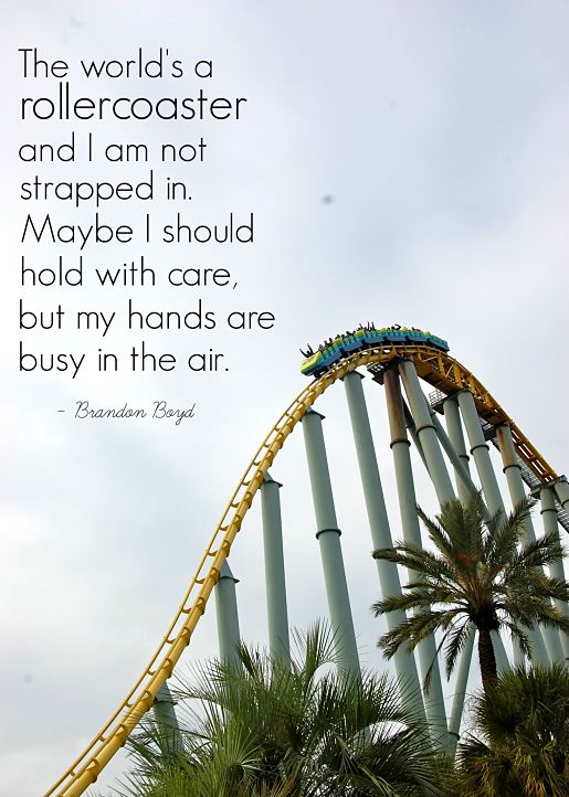 Rollercoaster quotation